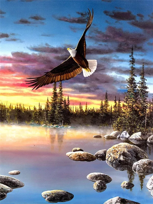 Misty Lake Sunrise Eagle