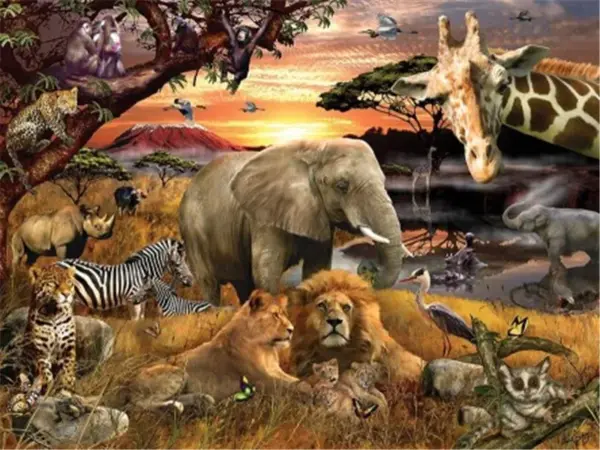 Sunset Lion Family