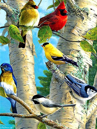 Songbird Gathering on Birch