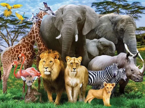 Lion Pride Gathering