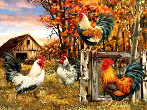 Autumn Barn Roosters