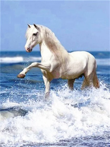 Stallion in the Surf