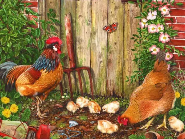 Rooster Family by the Fence