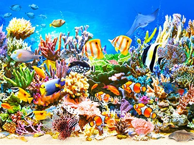 Sunlit Coral Reef