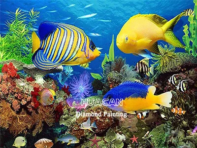 Angelfish Close-Up Pair