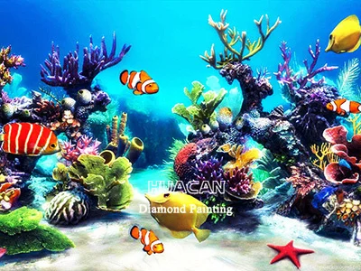 Clownfish and Starfish