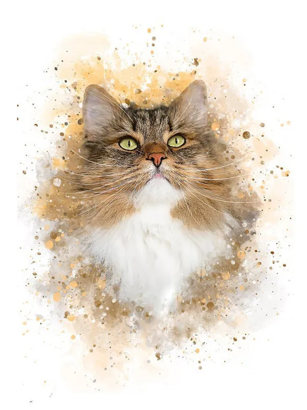 Fluffy Tabby Portrait
