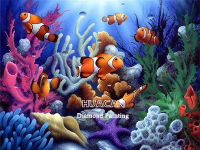 Clownfish Family Reef