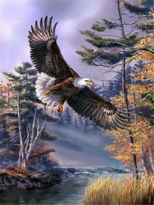Autumn Stream Eagle