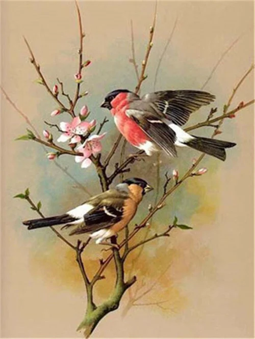 Bullfinches in Cherry Blossom