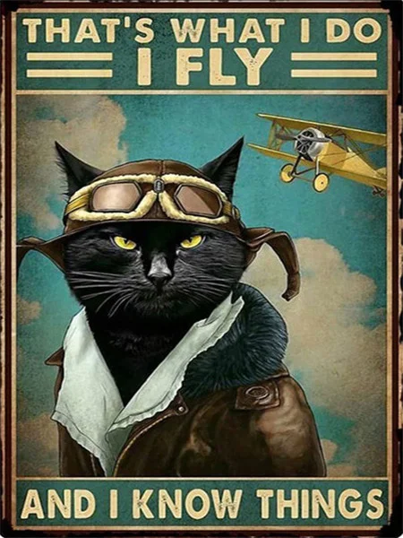 Pilot Cat with Biplane