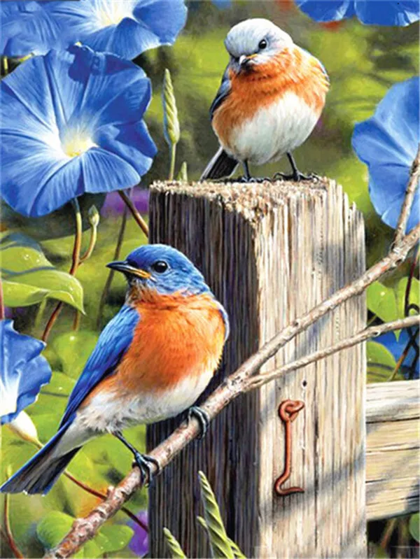 Bluebirds Among Morning Glories