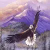 HUACAN Diamond Painting Kit – Eagle Portrait – photo 2