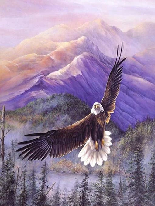 HUACAN Diamond Painting Kit – Eagle Portrait – photo 2