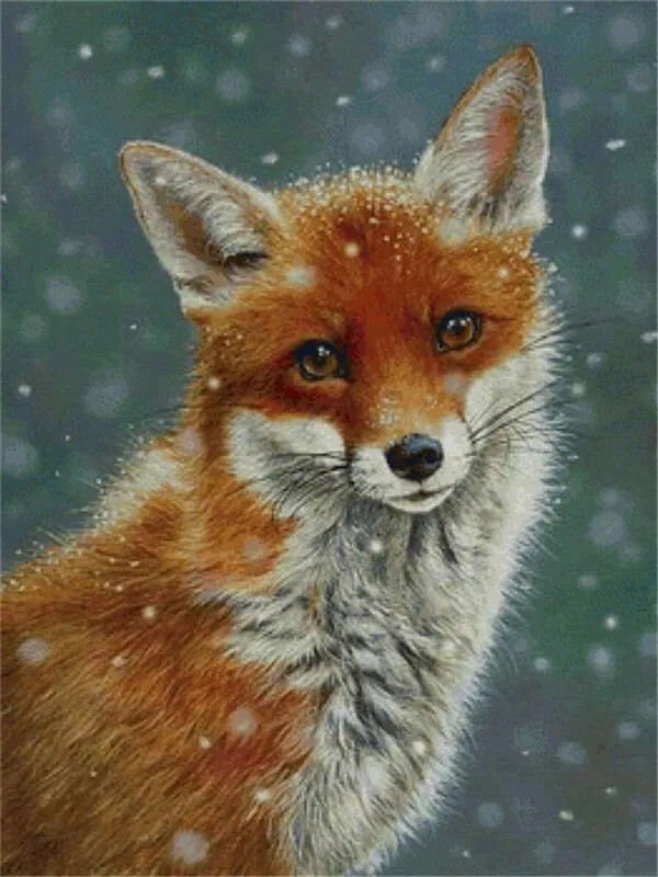 Snowfall Fox Portrait