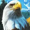 HUACAN Diamond Painting Kit – Soaring Eagle – photo 2