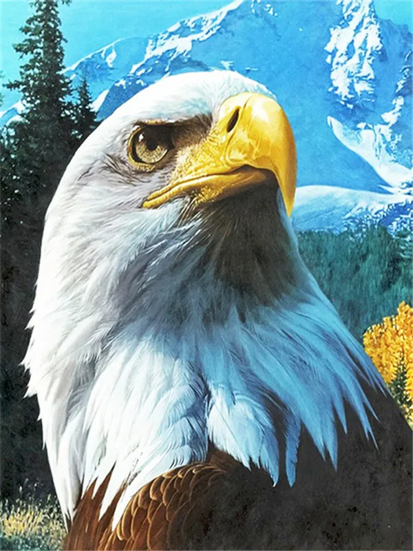 HUACAN Diamond Painting Kit – Soaring Eagle – photo 2