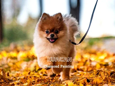 Puppy in Autumn Leaves