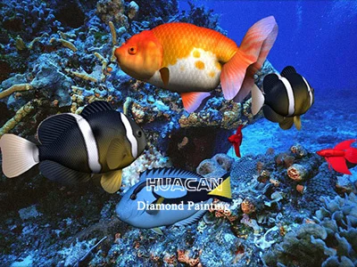 Goldfish Reef Cave