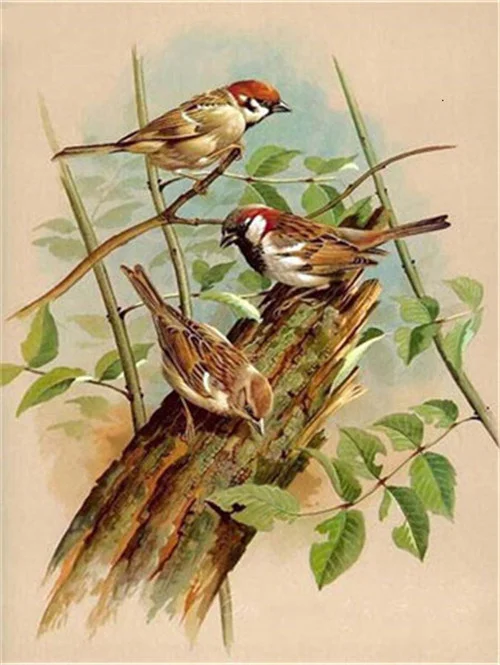 Three Sparrows on a Log