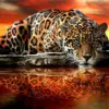 HUACAN Diamond Painting Kit – Spotted Leopard – photo 2