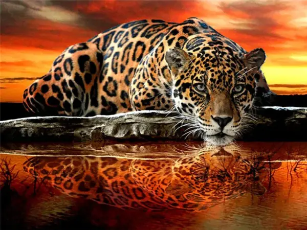 HUACAN Diamond Painting Kit – Spotted Leopard – photo 2