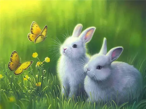 Bunnies Watching Butterflies
