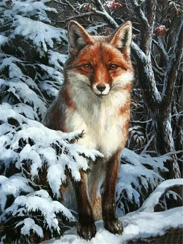 Fox Among Snowy Pines