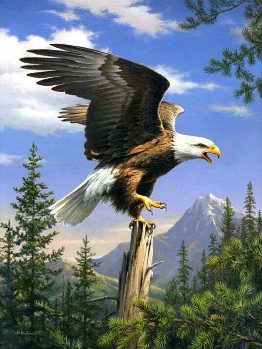 Eagle Landing on a Perch