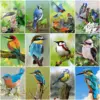 HUACAN Diamond Painting Kit – Paradise Bird HUACAN Diamond Painting Kit – Paradise Bird