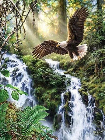 Eagle in the Sunlit Forest