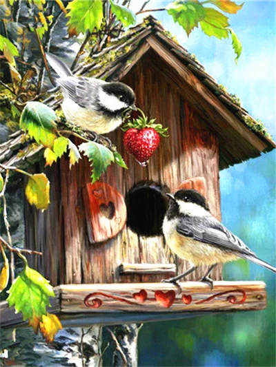Chickadees at the Birdhouse