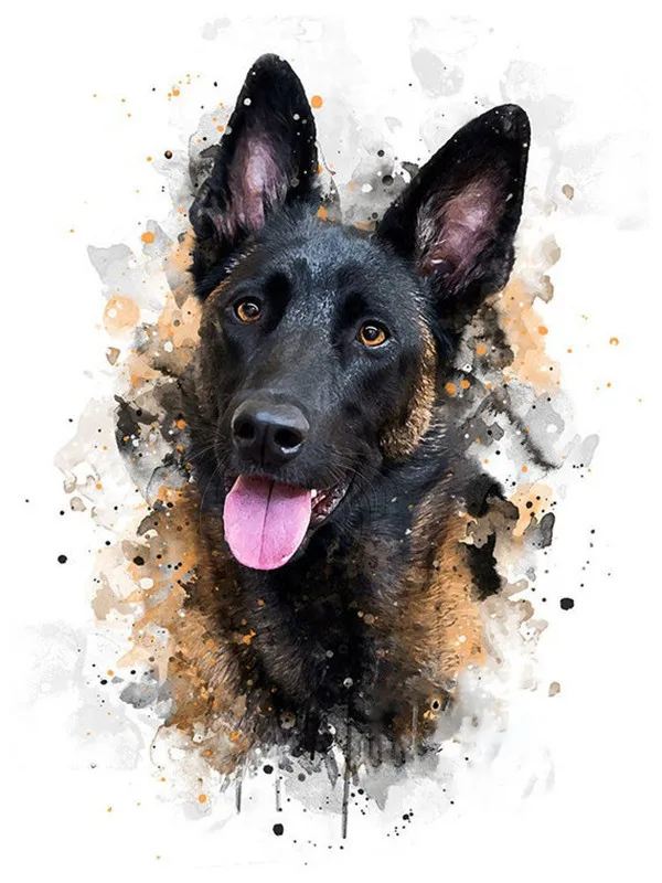 Black Shepherd Smile