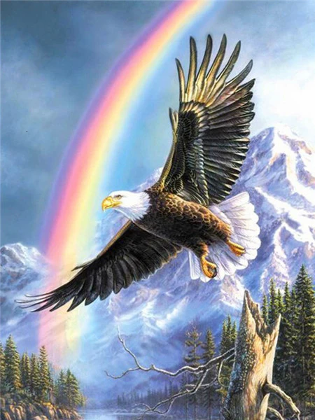 Eagle Beneath the Rainbow