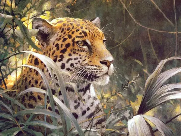 Leopard in the Jungle