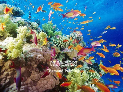 Anthias School Reef