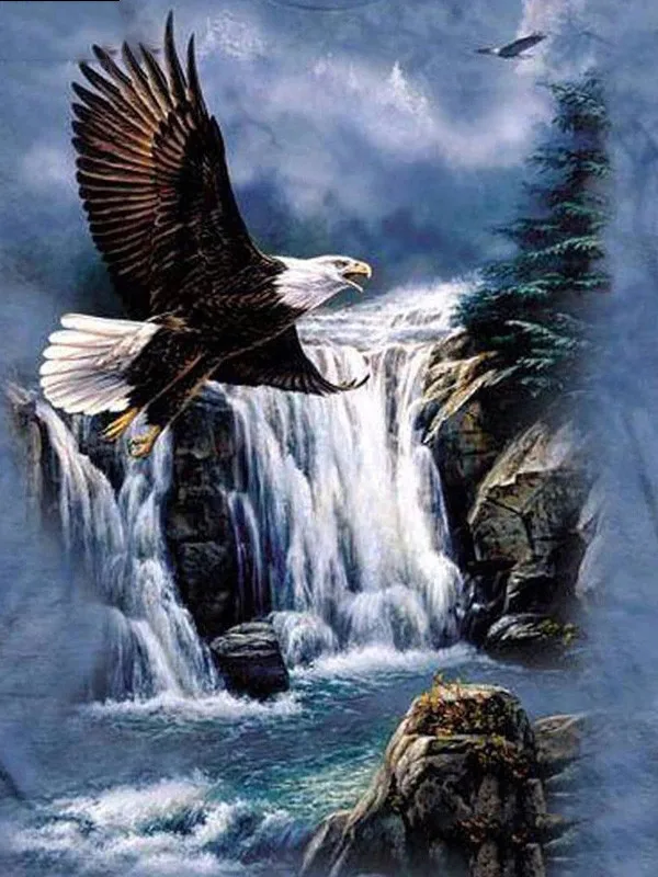 Eagle Over Waterfall