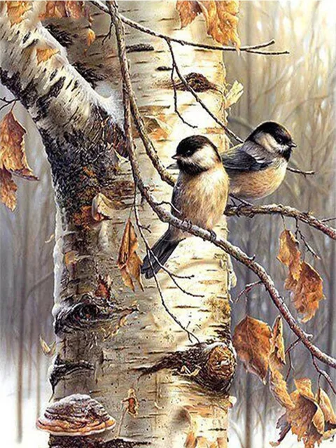 Winter Chickadees on Birch