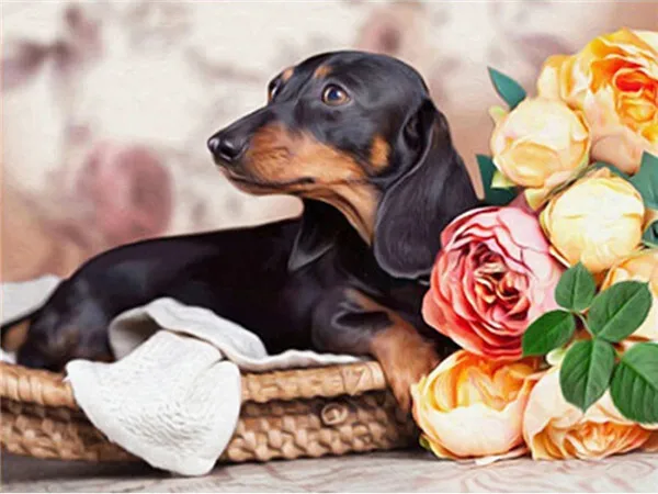 Puppy with a Rose Bouquet