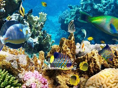 Angelfish Brain Coral