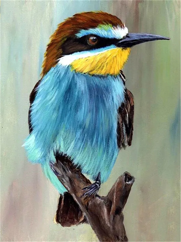 Bee-Eater Portrait