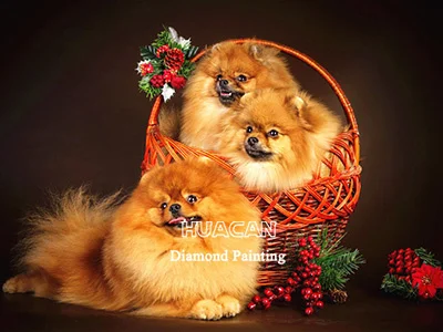 Puppies in Holiday Basket