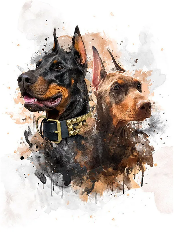 Doberman Pair