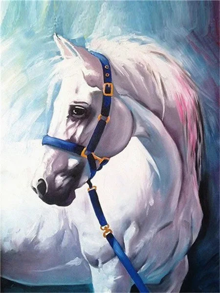 Blue Halter Portrait