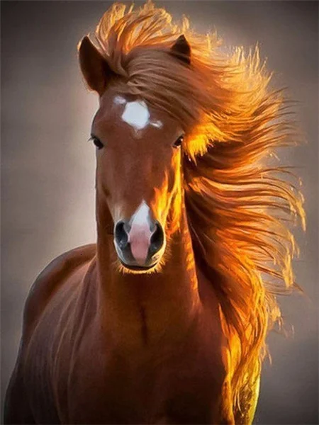 Golden Backlit Mane