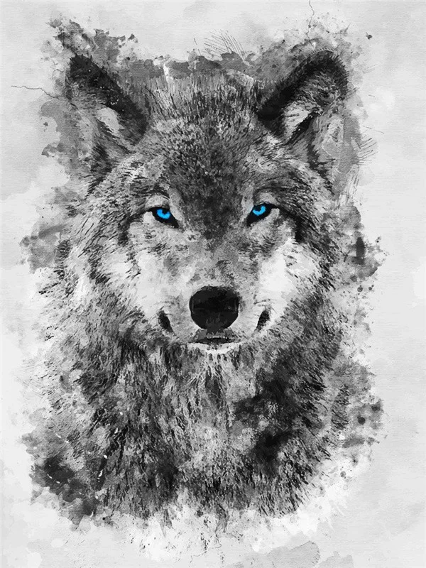 Blue-Eyed Wolf Sketch