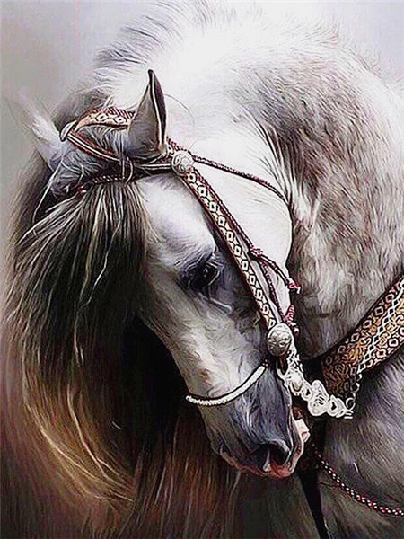 Ornate Bridle Portrait