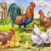 HUACAN Diamond Painting Kit – Farmhouse Rooster – photo 2