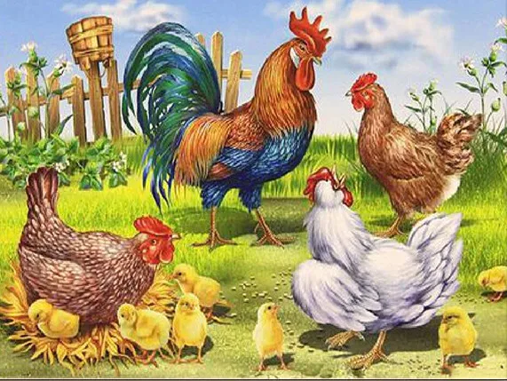 HUACAN Diamond Painting Kit – Farmhouse Rooster – photo 2