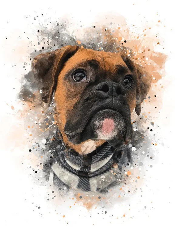 Boxer Puppy in Scarf